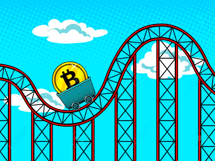 bitcoin rollercoaster Shervin Pishevar