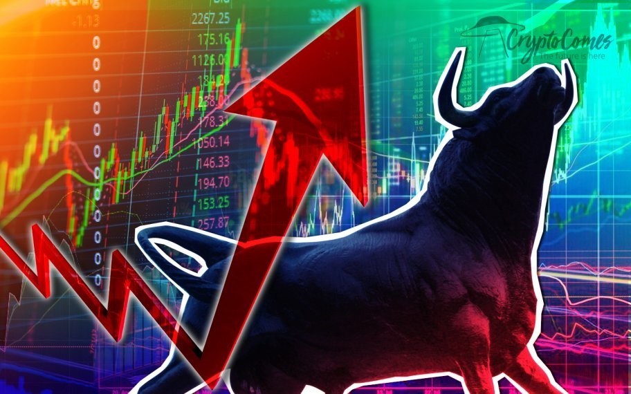 crypto bull market 2019